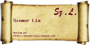 Szomor Lia névjegykártya
